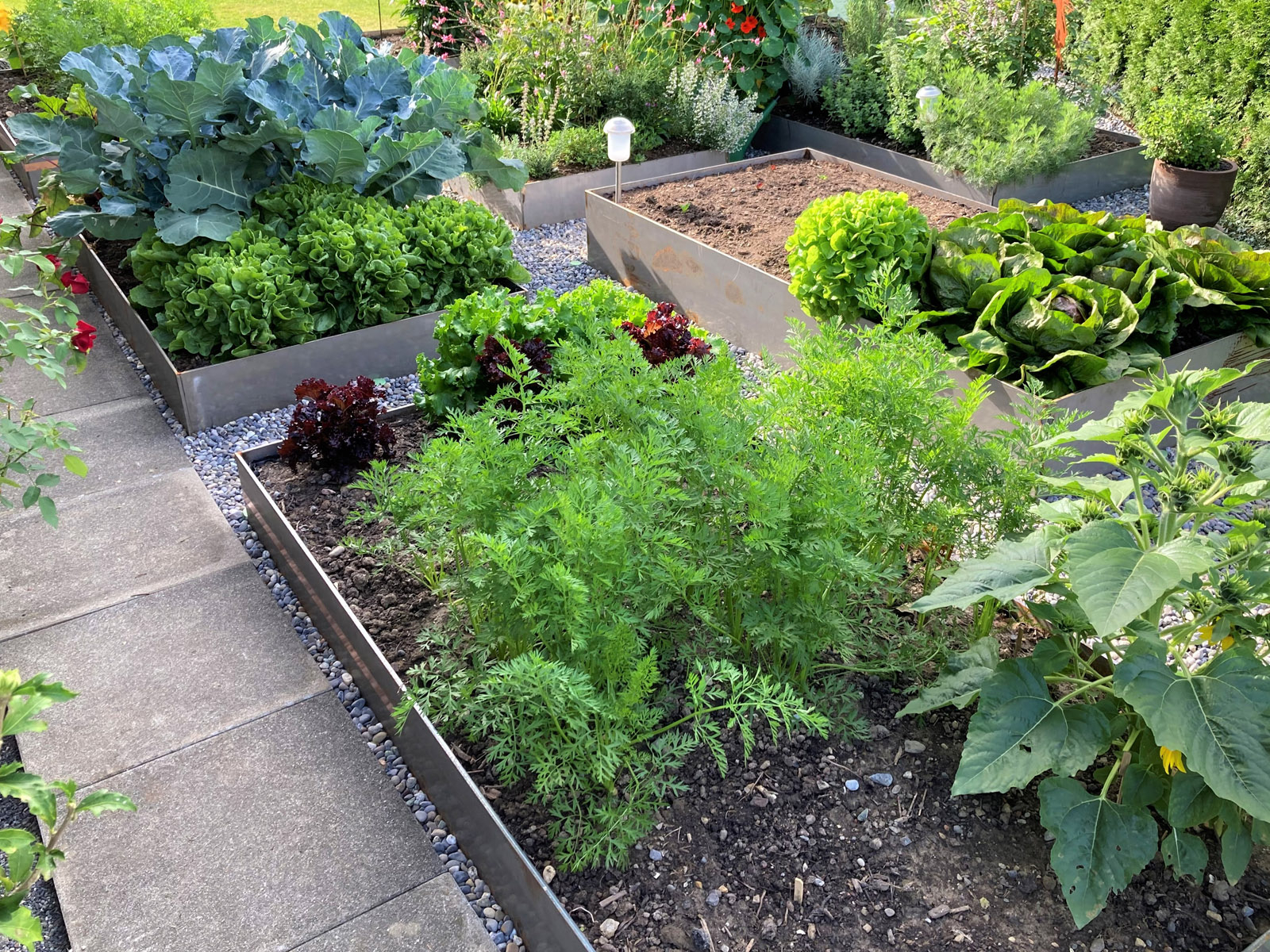 zehndergarten GmbH Handwerker, kreativer Gestalter & Naturliebhaber